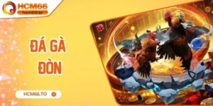 đá gà tre