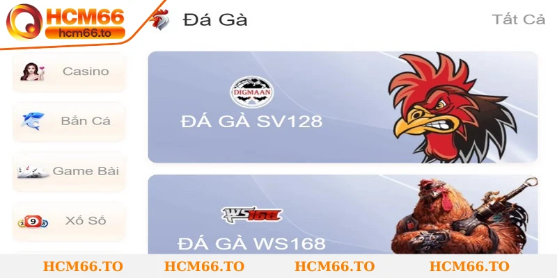 Đá gà Hcm66 mang đến trải nghiệm sống động như tại trường đấu thực